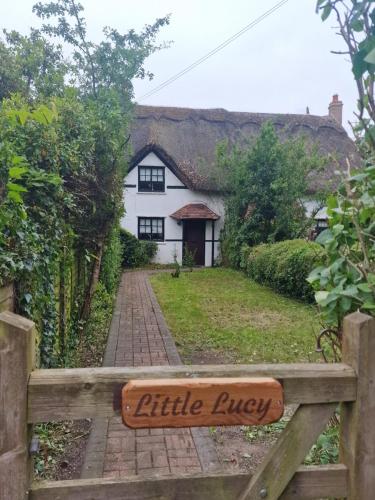 Little Lucy in Warwick, United Kingdom