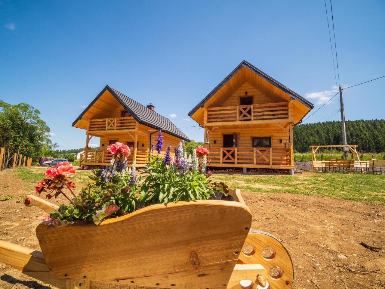 Domki Nad Rzeka W Komanczy — hotel in Komancza