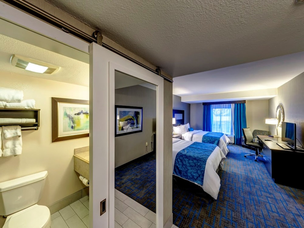 Holiday Inn & Suites Syracuse Airport Liverpool by IHG - photo 18