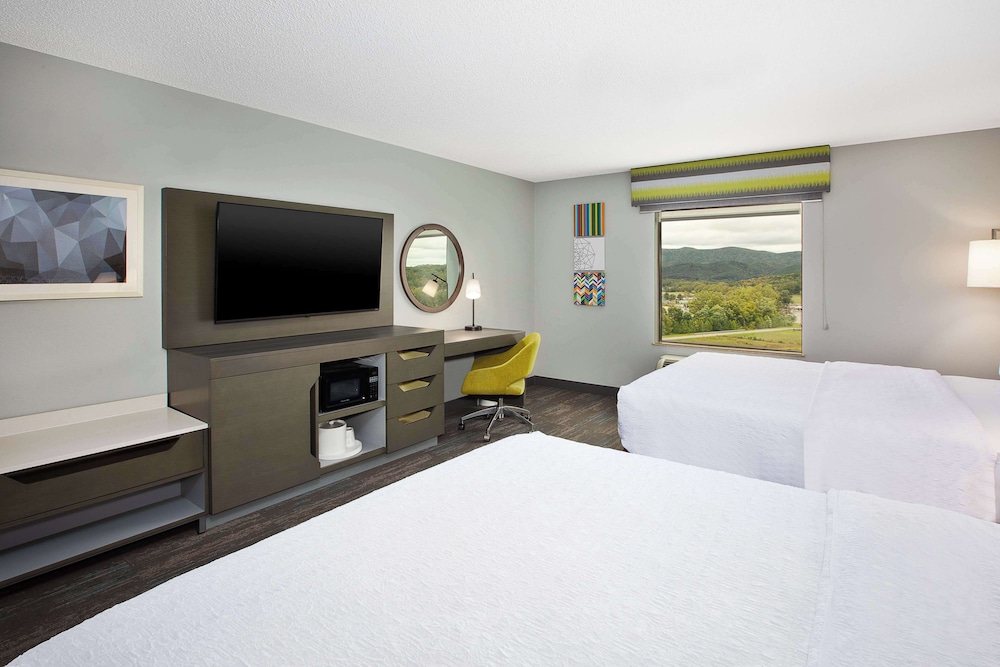 Hampton Inn Elkins - photo 24