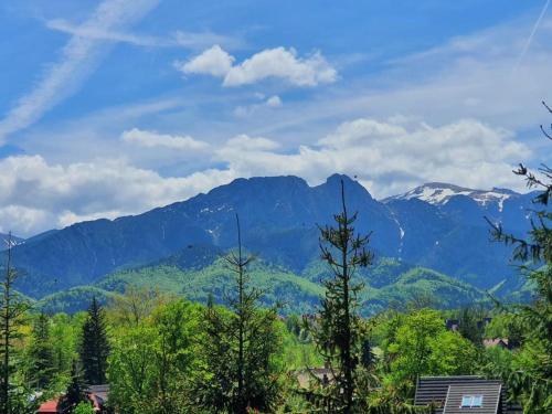 Domki Mroz — Zakopane — photo 2