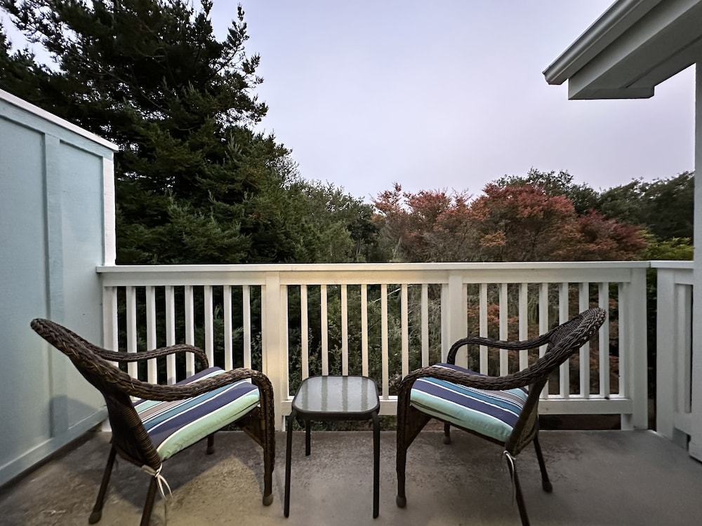 Bluebird Inn - photo 19