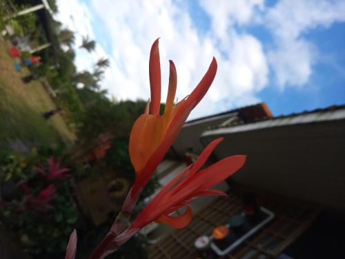 Pousada e Museu JK in Ubajara, Brasil