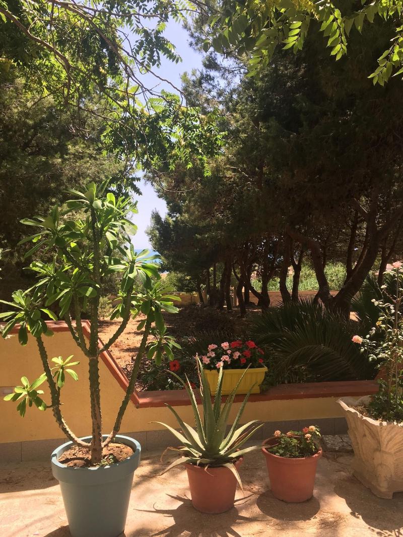 Mediterraneo — Castelvetrano — photo 5