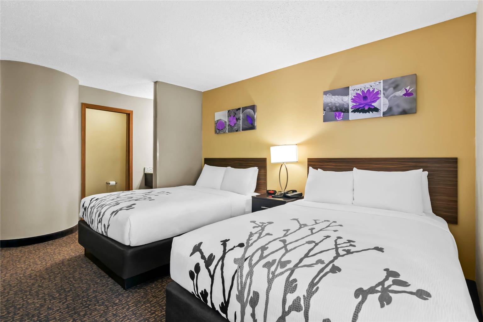 Sleep Inn Fayetteville North - photo 22