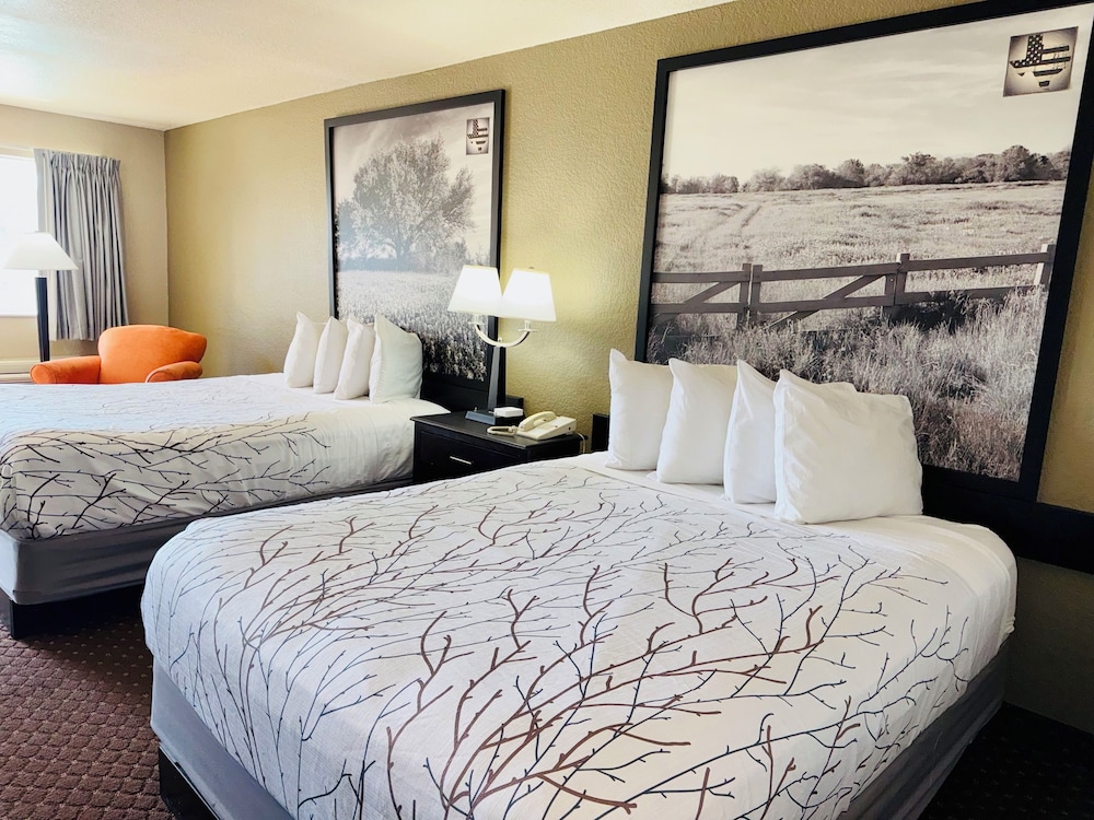 Hill Country Inn & Suites New Braunfels Gruene - photo 4