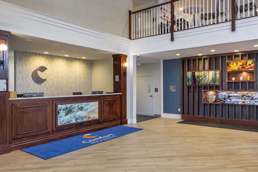 Comfort Inn & Suites East Greenbush Albany - photo 8