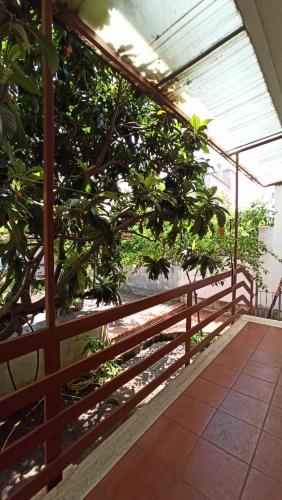 Casa Ester — Aradeo — photo 3