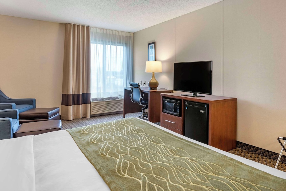 Comfort Inn Charlotte - photo 13