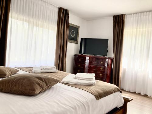 Casuta Adelina Borsa in Borsa, Romania