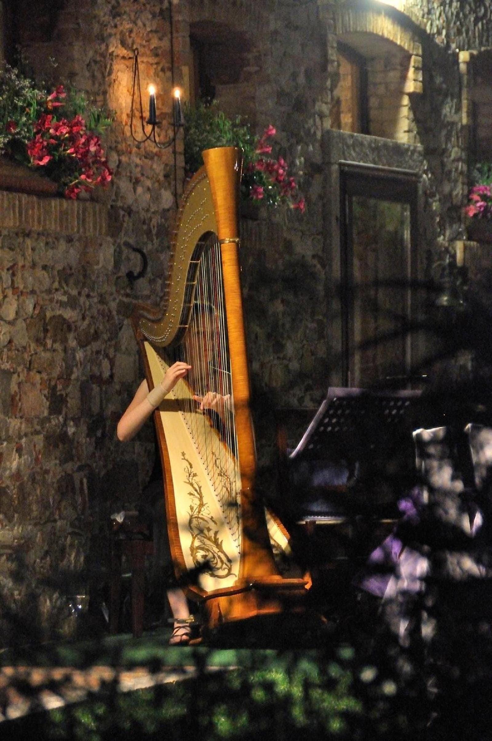 Il Vagabondo — Buttrio — photo 3