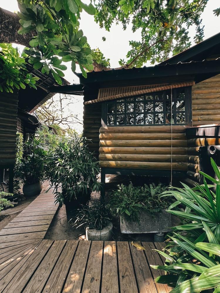 Quinta Pavo Real by Acomodo — San Jose — photo 4
