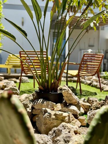 Vistamare Est e Ovest — 4-Star Luxury Hotel in San Cataldo, Italy
