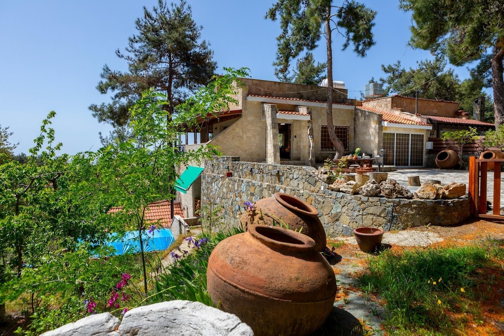 Platres Forest Panorama