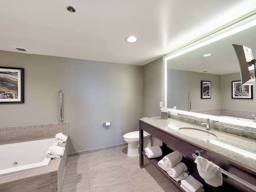 DoubleTree by Hilton Hotel Bloomington - photo 22