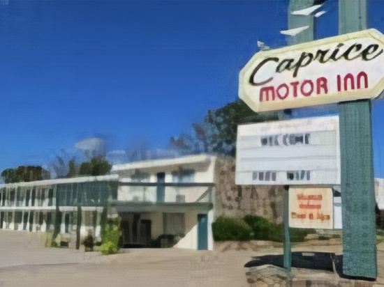 Caprice Motor Inn - photo 7