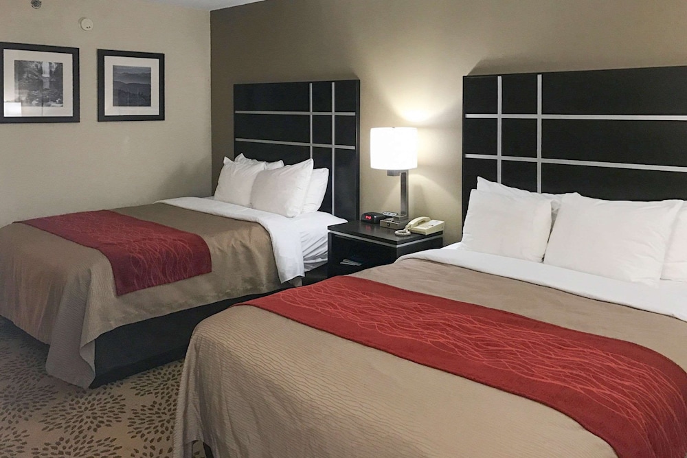 Comfort Inn North of Asheville - photo 25