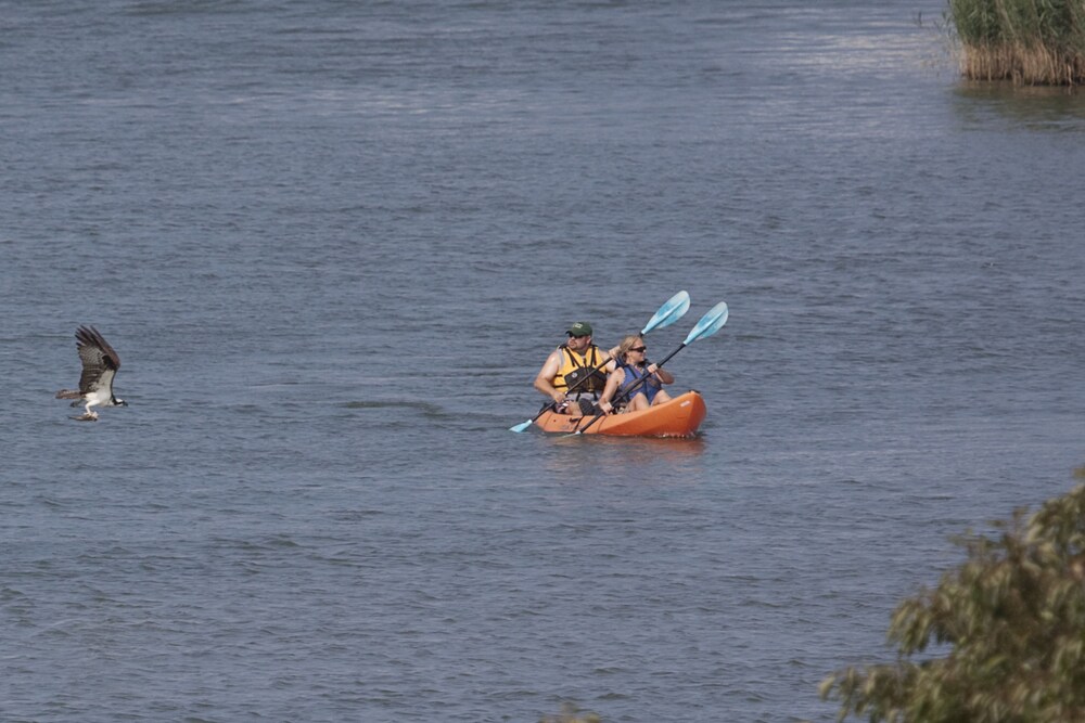 Knapps Narrows Marina & Inn - photo 17