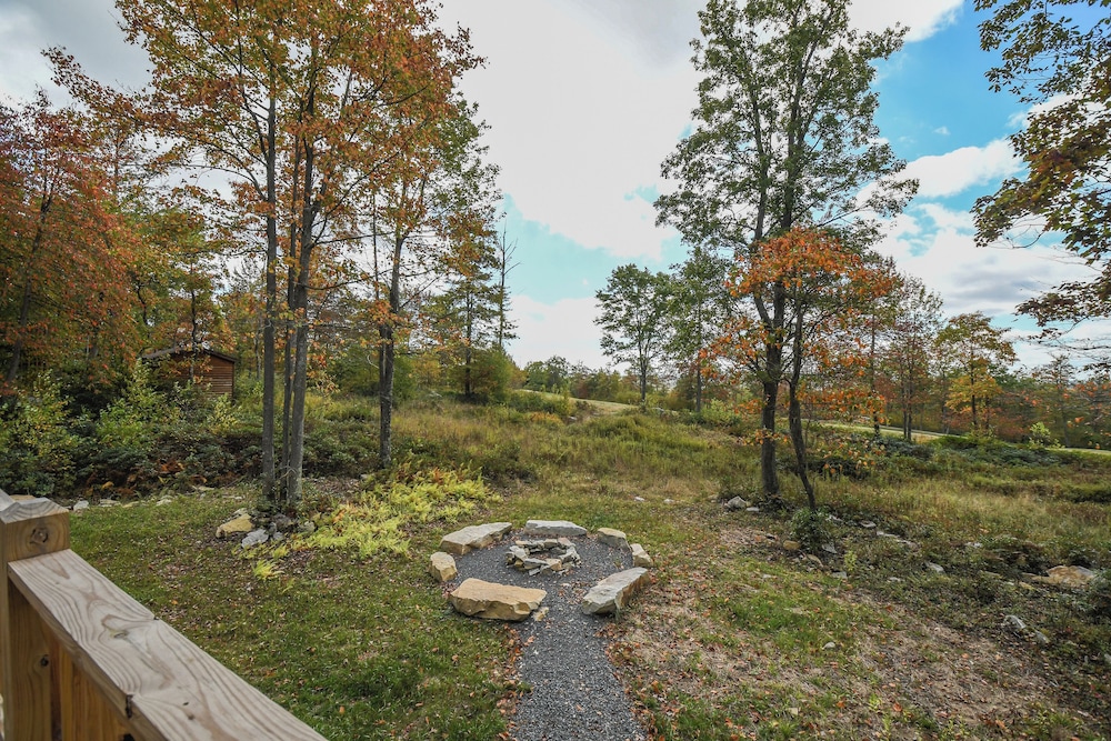 Woods Stock - photo 39