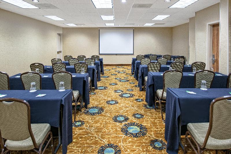 Holiday Inn Dallas Dfw Airport Area West - photo 25