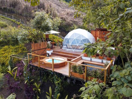 Nazca Glamping — hotel in Villamaria