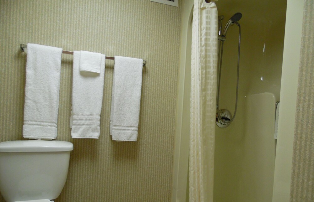 Best Western Plus Fairfield Executive Inn - photo 8