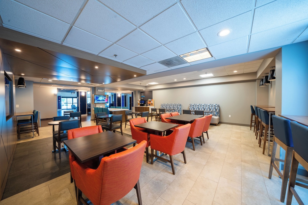 Holiday Inn Express Hotel & Suites Tampa Northwest Oldsmar by IHG - photo 44