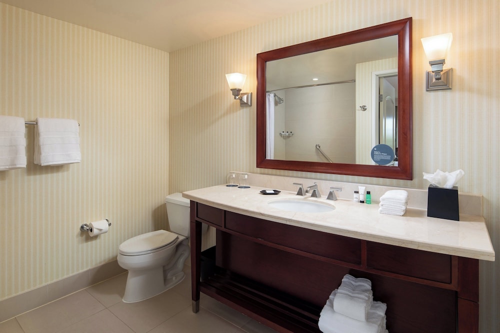 Sheraton Carlsbad Resort & Spa - photo 33