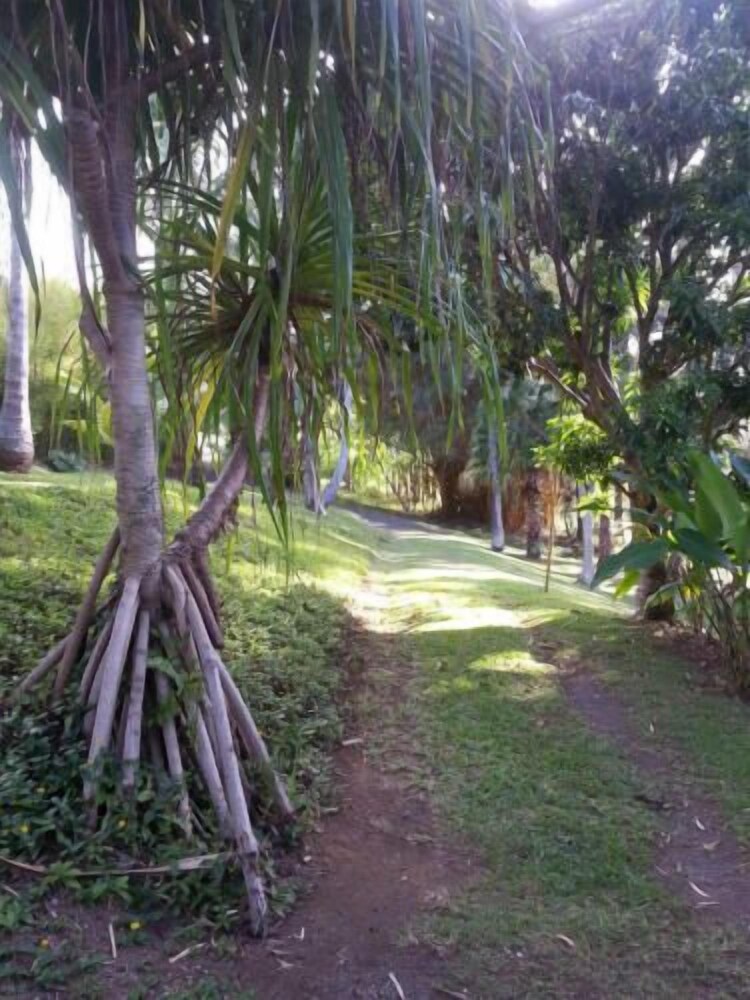 Hale Kukui Orchard & Cottages - photo 28