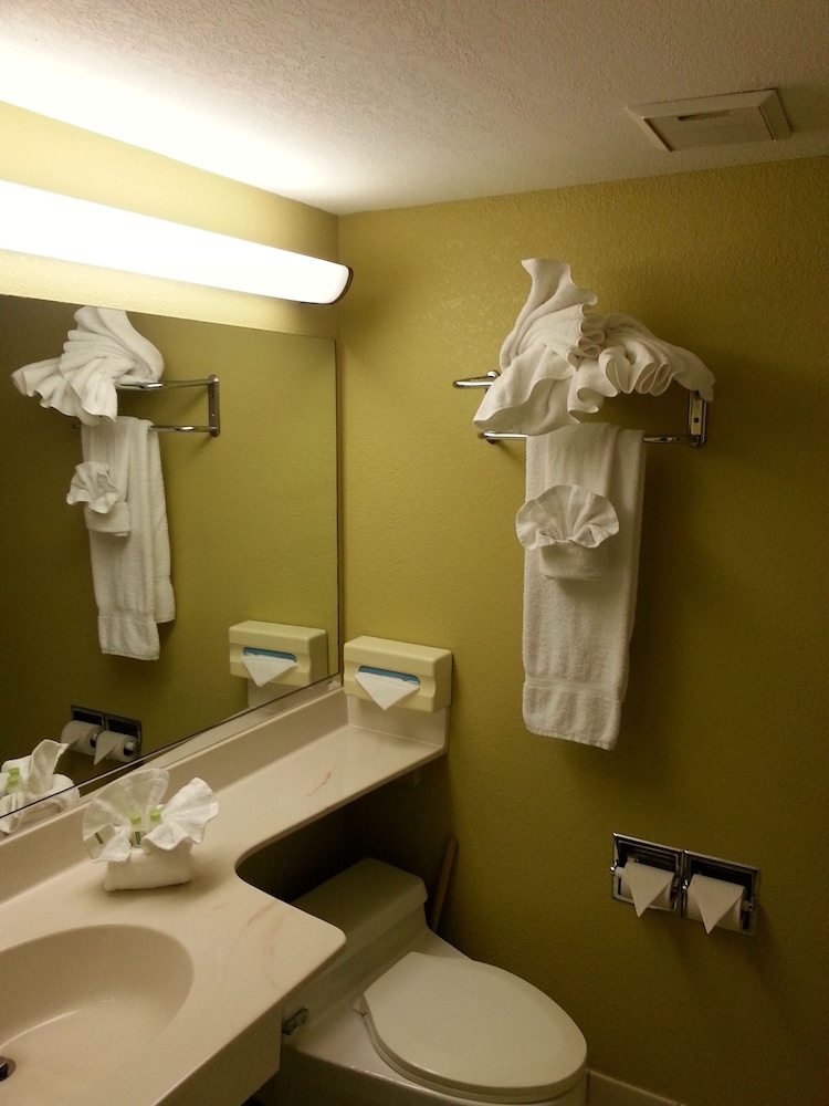 Vista Inn Lake Tarpon - photo 31