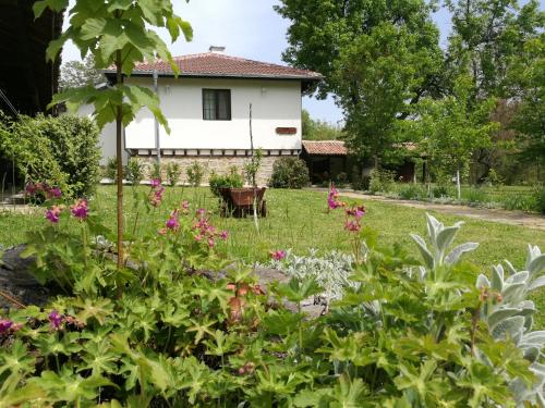 Complex Ovchaga - carbon neutral hotel in Dalgopol