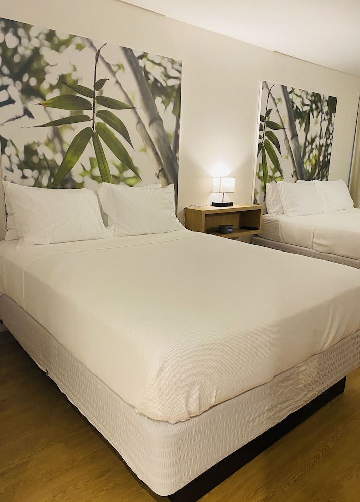 A & S Vacation Rooms - photo 16