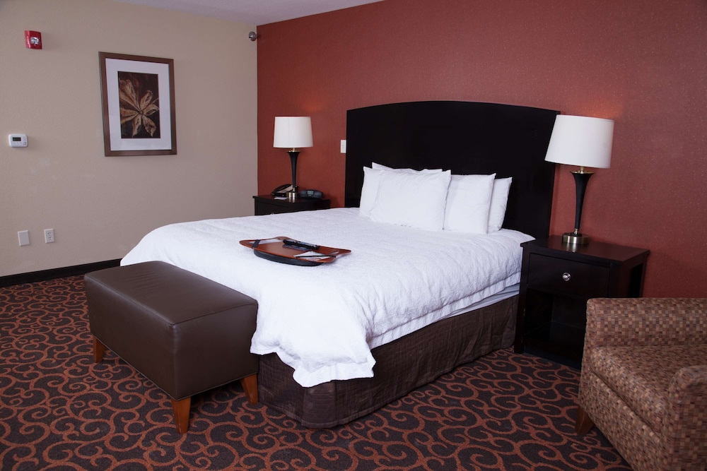 Hampton Inn & Suites Dickinson - photo 19