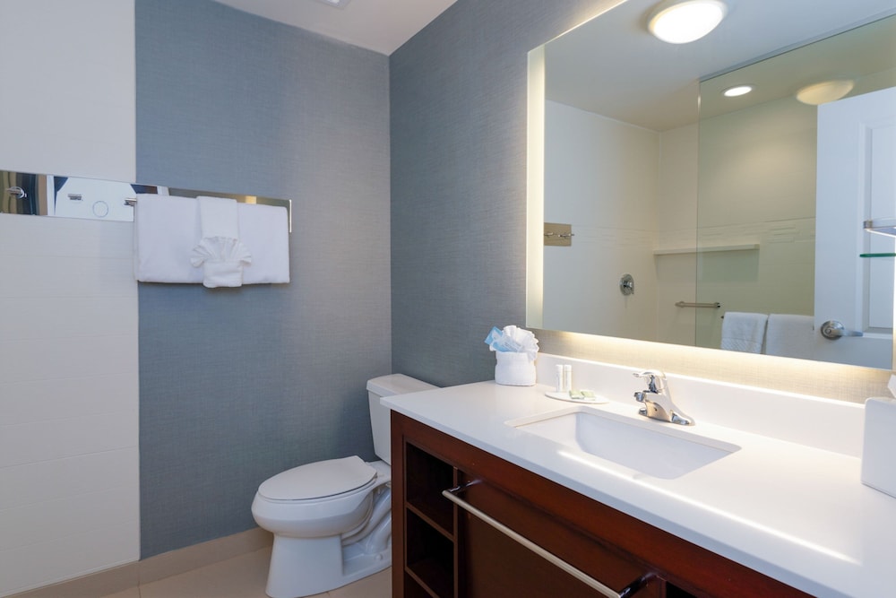 Residence Inn by Marriott Philadelphia Great Valley Malvern - photo 24
