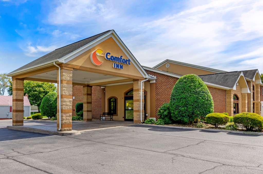 Comfort Inn Atkins Marion I 81 - photo 6