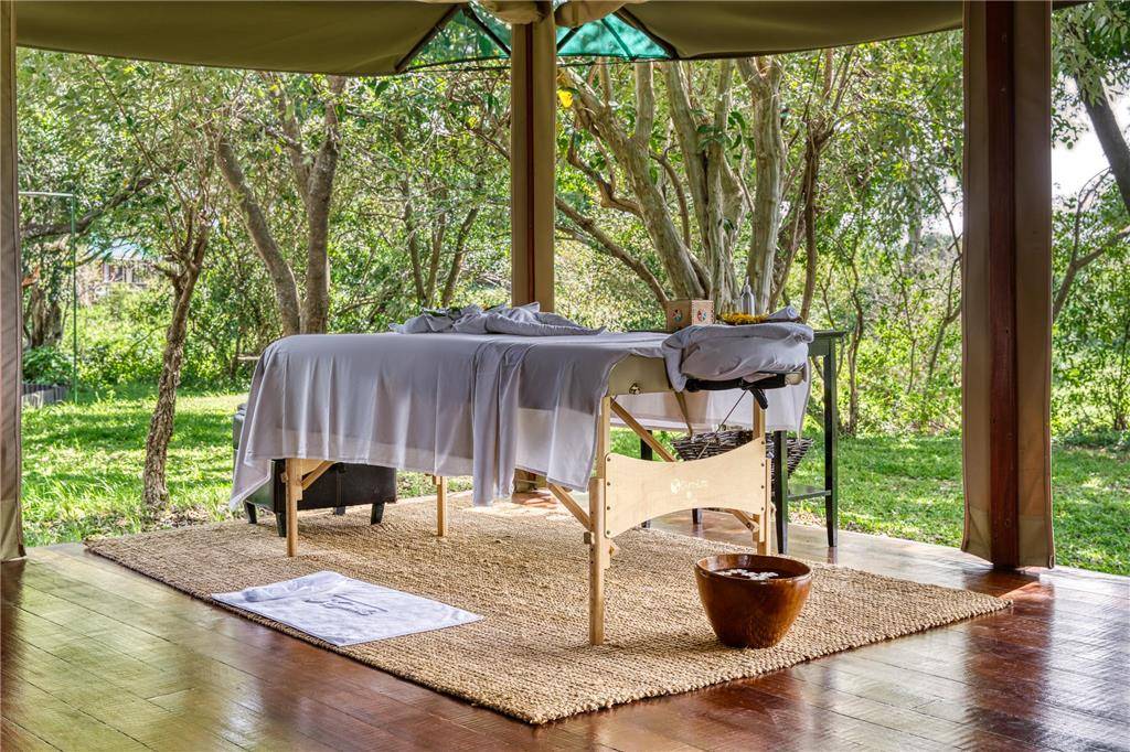 Experiences and Wildlife