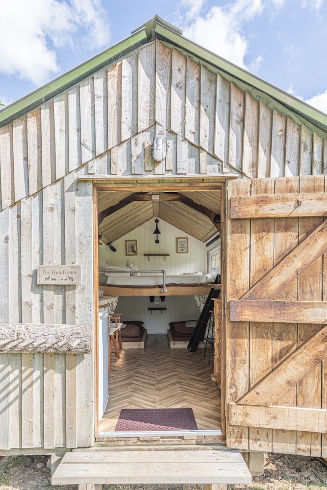 Dartmoor Reach Alpaca Farm in Newton Abbot, United Kingdom