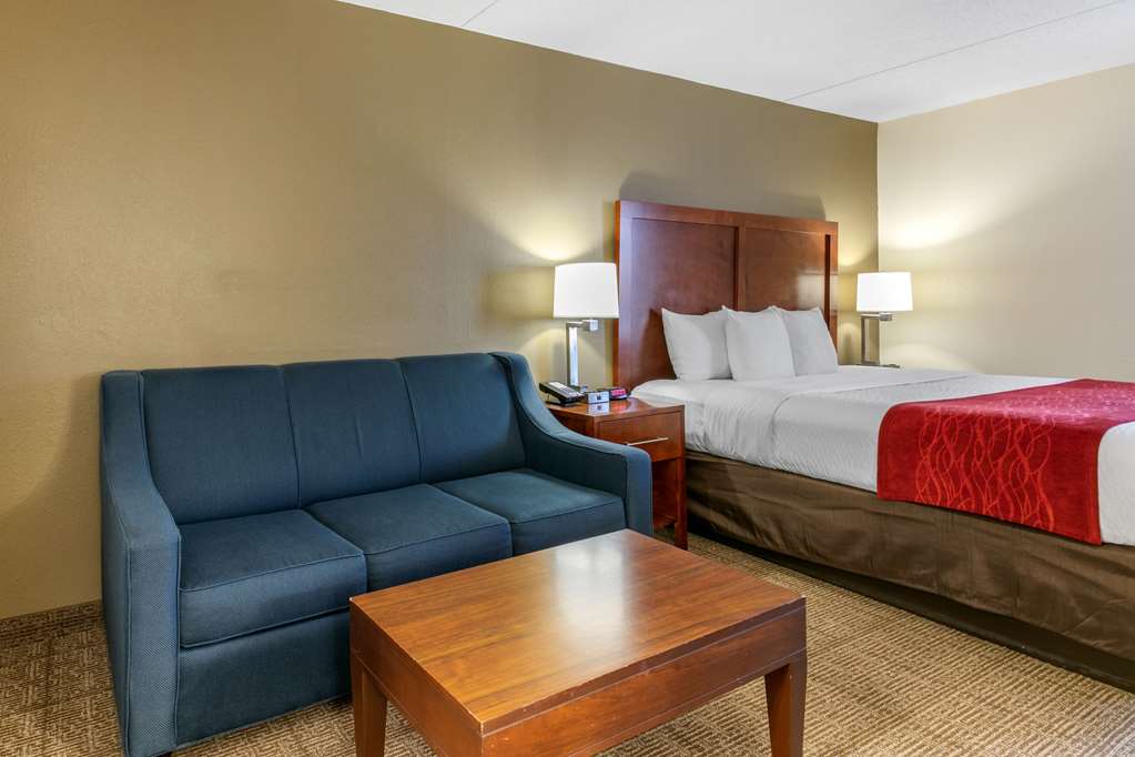Comfort Inn Chattanooga Downtown Southside - photo 12