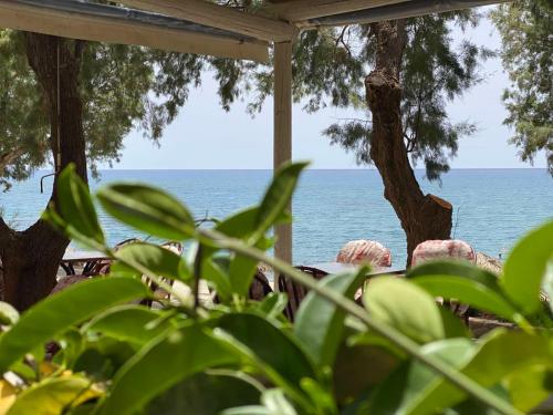 Apanemia Rooms in Agios Vasileios, Greece