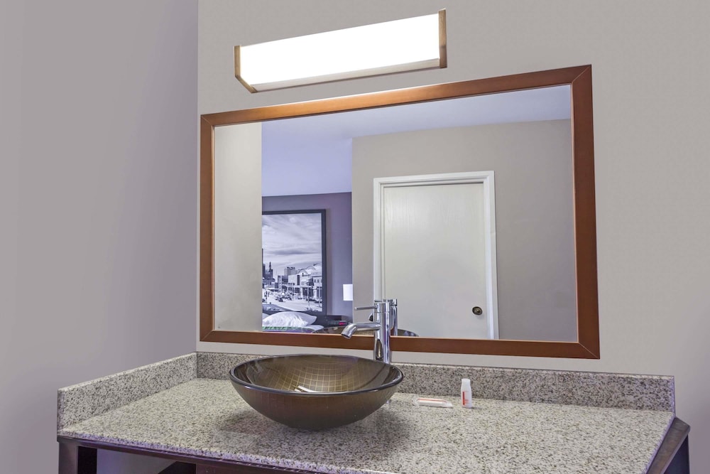 Delavan Inn and Suites - photo 18