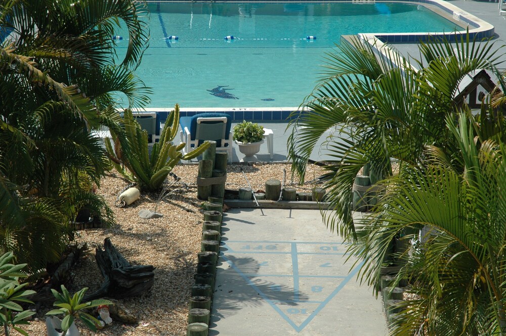 Dolphin Inn Resort - photo 35