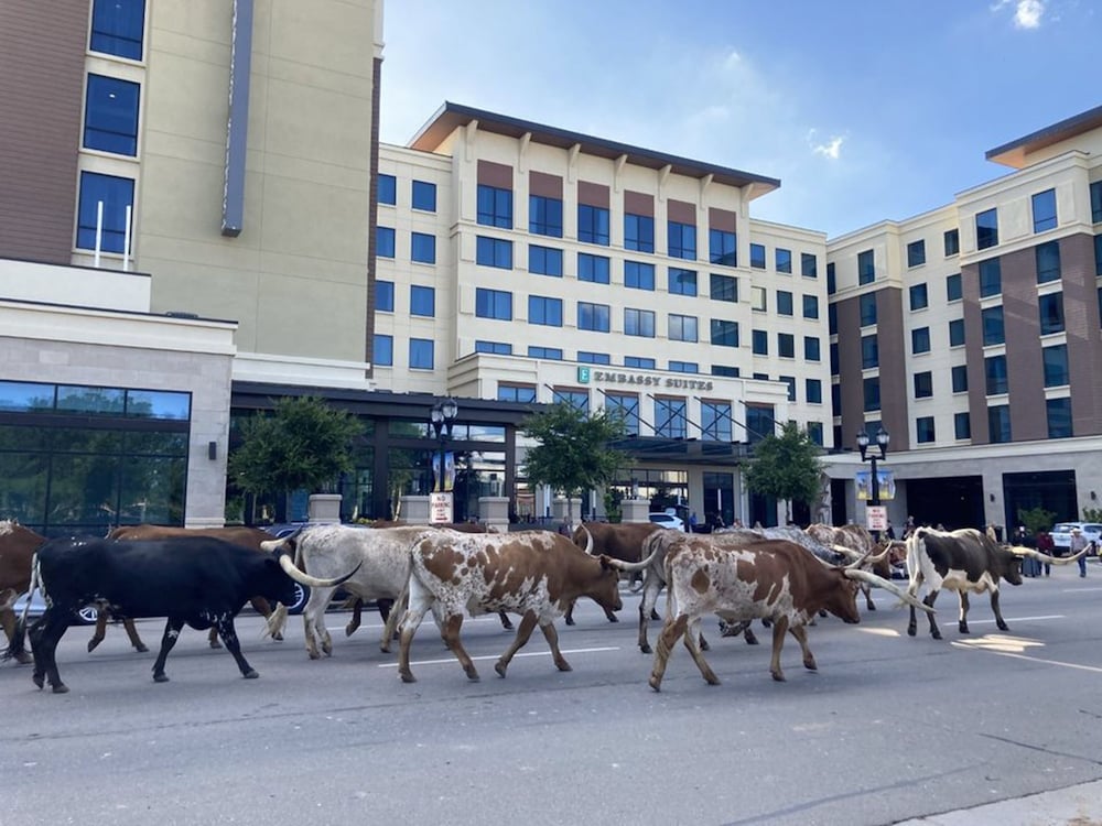 Embassy Suites by Hilton Amarillo Downtown - photo 50