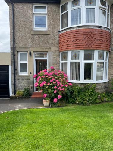 Kelvinside Seahouses 2 minute walk into village — 4-Star Luxury Hotel in Seahouses, United Kingdom