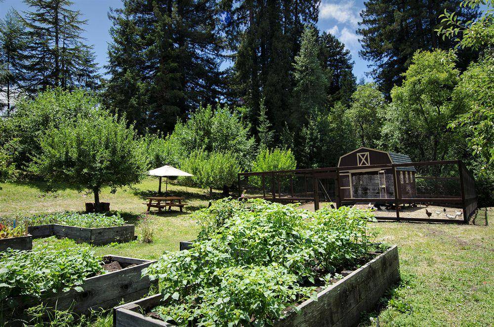 Applewood Inn and Spa - photo 9
