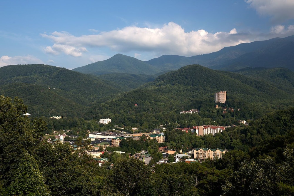 The Park Vista a DoubleTree by Hilton Hotel Gatlinburg - photo 16