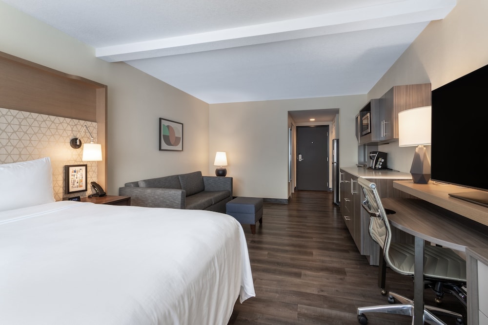 Holiday Inn Tampa North - photo 4