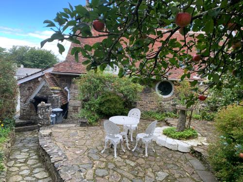 Cobweb Hall - last minute hotel in Okehampton
