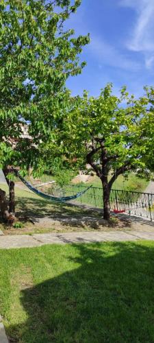 La casetta in collina — San Remo — photo 5