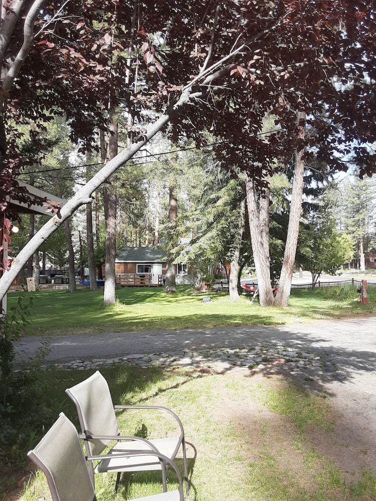 Grey Squirrel Resort - photo 174