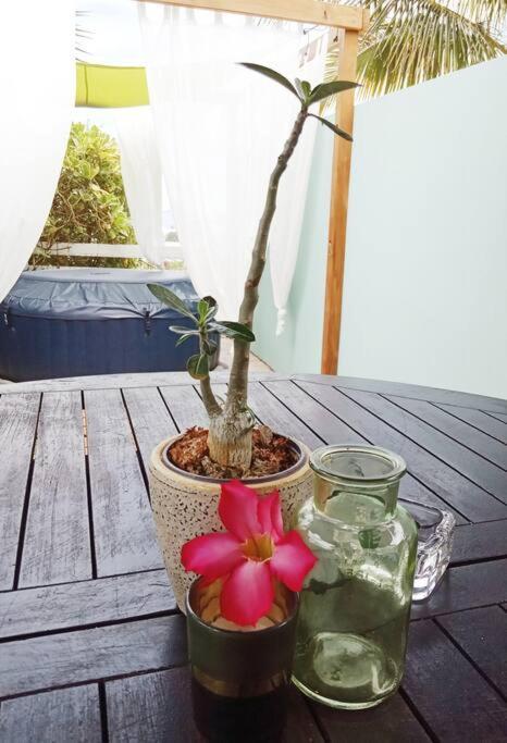 Duplex vue mer Saline les bains in Unknown City, Réunion